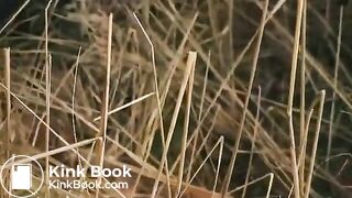 Girl poop - video 145