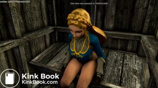 BOTW Zelda Bombs an Outhouse