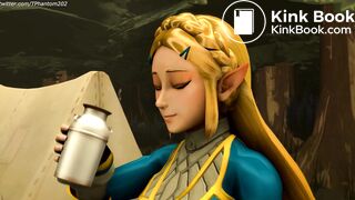 BOTW Zelda Bombs an Outhouse