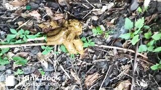 Girl pooping - video 461