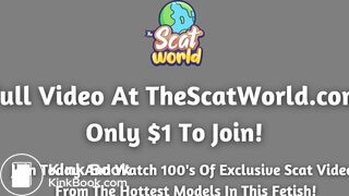 Is This Girl Too Hot To Be Shitting?