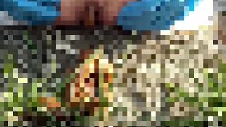 Japanese girl big pooping