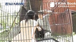 japanese - video 378