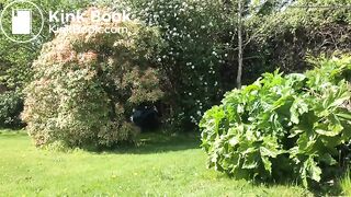 A garden poo..