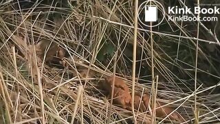 Girl pooping - video 440