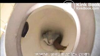 Mature classic toilet