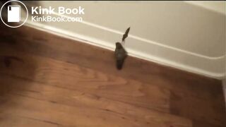 From the bathtub’s edge