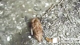 girl pooping - video 245