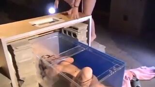 Japanese_scat 2