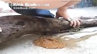 Shitting - video 497