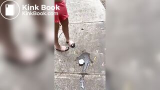 Girl poop - video 111