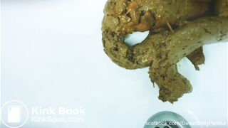 Large pile of turds in sink