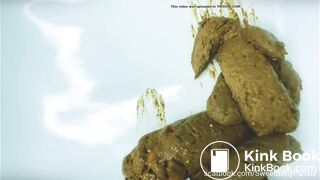 Large pile of turds in sink