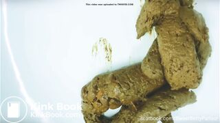 Large pile of turds in sink