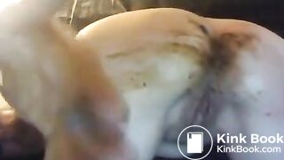 Webcam scat whore - video 2