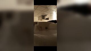 Desperate jogger absolutely blows up public toilet