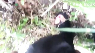 Her poo in the woods..