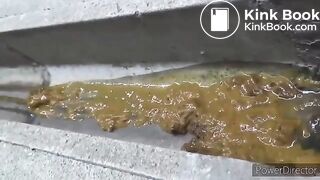 My favorite diarrhea - video 2