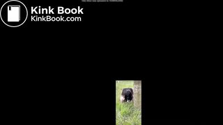 Influencer latina takes a shit outdoor instagram story