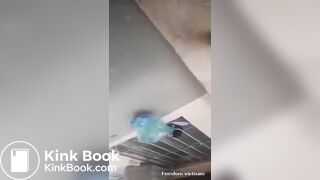 Scat Girl