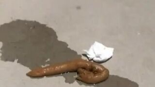 Shitting - video 480