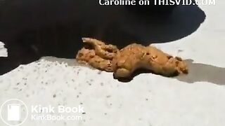 Shitting - video 480