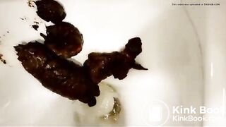 A poo in a toilet..