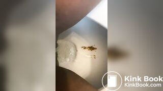 A messy toilet poo..