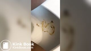 A messy toilet poo..