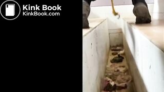 Chinese toilet - video 53