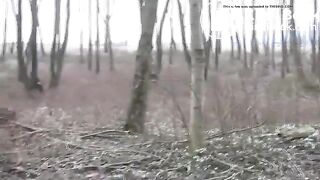 Early spring poo in the woods..