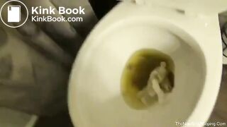A poo on a toilet..