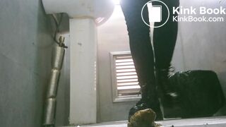 捡屎 太恶心了 还拉稀