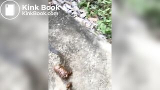 Branquinha maravilhosa cagando na natureza