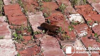 Cute plain girl shitting outdoors