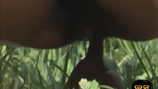 Sharked while shitting (10)