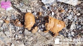 Girl big pooping in camping