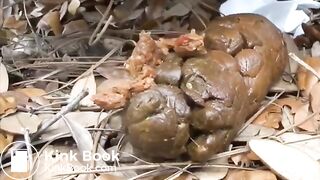 COLLECTION OF FEMALE POOP 4