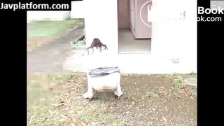 Japanese Ladies Poop Voyeur - video 215