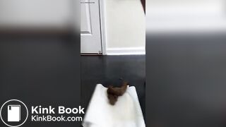 Wonderful Usa woman giant poop 893