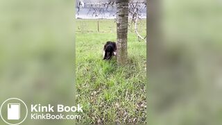 Latina Influencer Poop Huge Turd Field (Full Video)