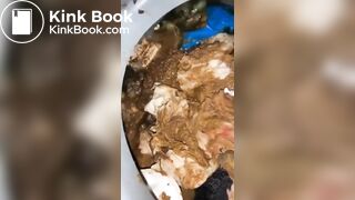 porta potty scat slut