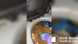 porta potty scat slut