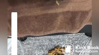 fuck my wife until she squirts