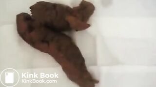 Brunette shit on bathroom floor video 2