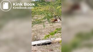 Pooping 1 - video 12