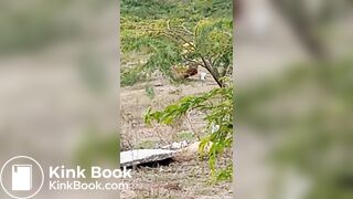 Pooping 1 - video 12