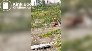 Pooping 1 - video 12