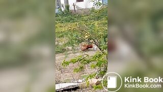 Pooping 1 - video 12