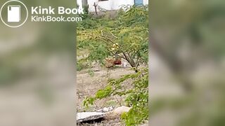 Pooping 1 - video 12